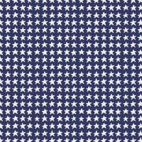 dsStella-DCWR3884 NAVY
